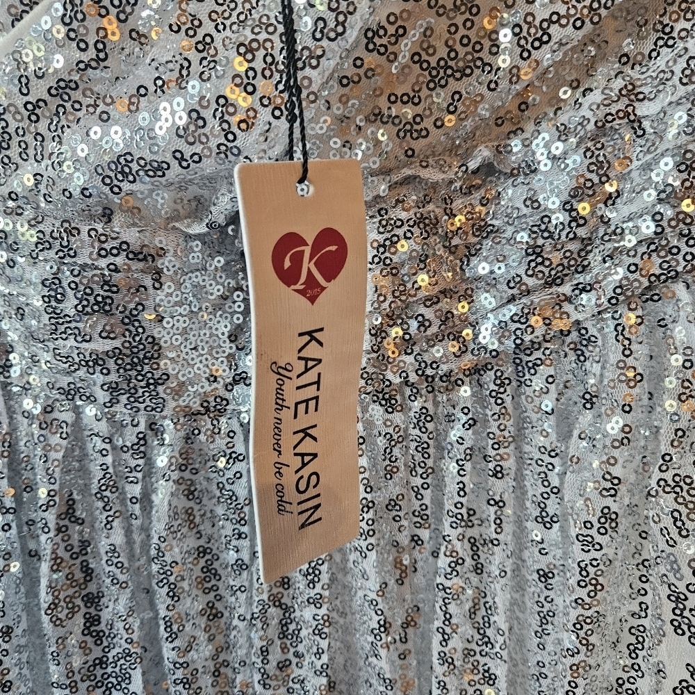 Kate Kasin Silver Empire Sequin Maxi Dress - Picture 12 of 15